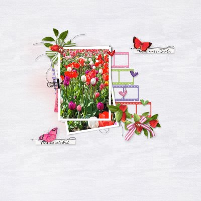 Tulips 2023
