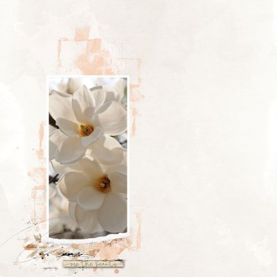 White Magnolias