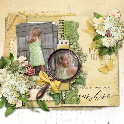 Create your own sunshine