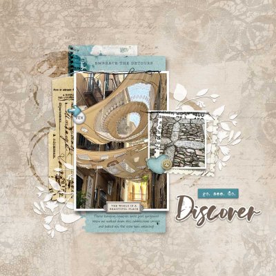 Discover Street Canopies