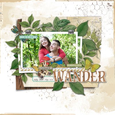 Wander