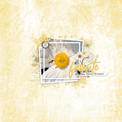 World Bee Day 2024