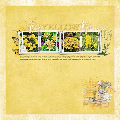 This Yellow Life