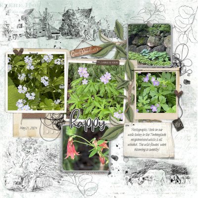 Wild Flowers