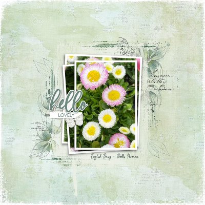 Garden Love