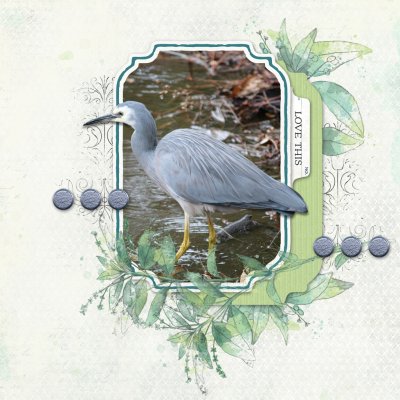 June Kit-Centric Challenge: Love This