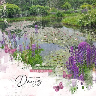 Pink Water Lillies at Kingsbrae Gardens