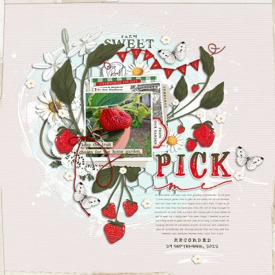 Pick Me