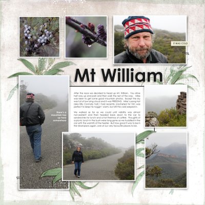 MtWilliam