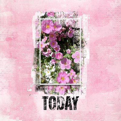 Today's Photo_07/01/24