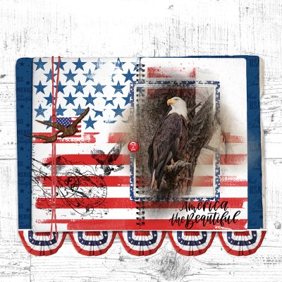 America the Beautiful