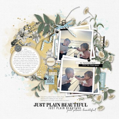 Just Plain Beautiful (July Scraplift Chain)