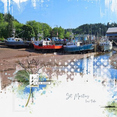 St. Martins low tide