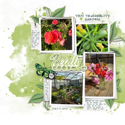 2024-07-17 TT garden magic