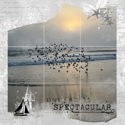 2024-04-17 Spectacular