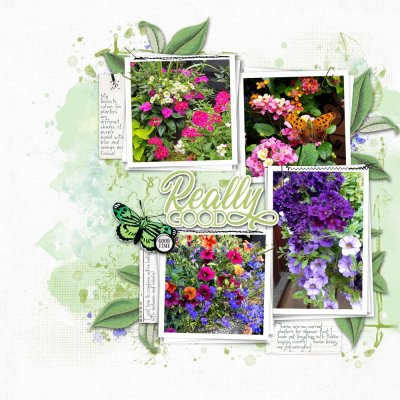 Garden Planters for summer