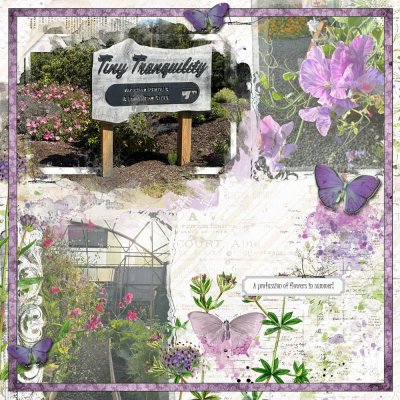 2024-04 Flowers at TT