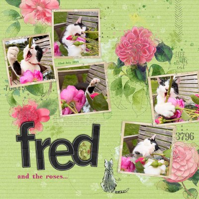 fred and the roses