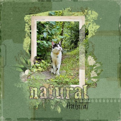 natural habitat