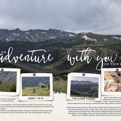 The Alpine Tundra