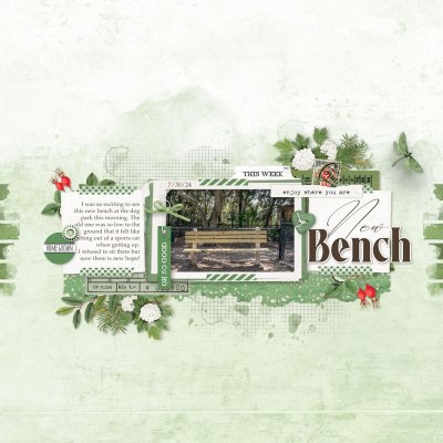 NewBench.jpg