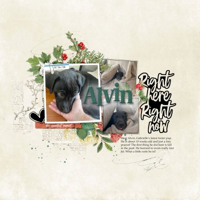 Alvin.jpg