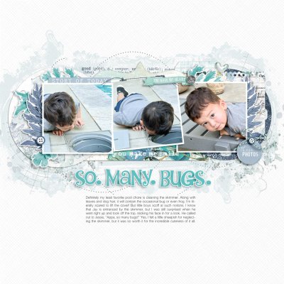 So Many Bugs: Layer It On Challenge