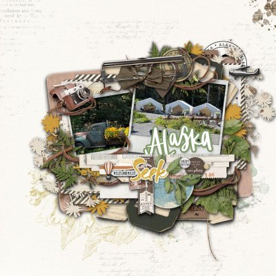 Seek Alaska