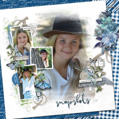 Snapshots