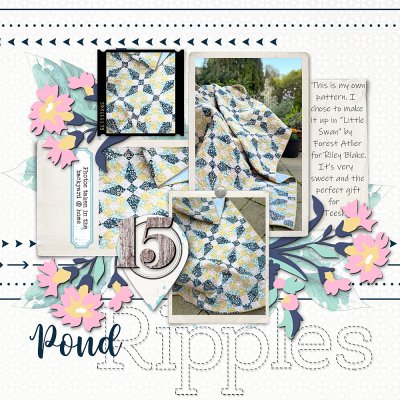 No.15 Pond Ripples