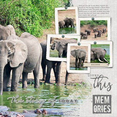 Elephants-right-side