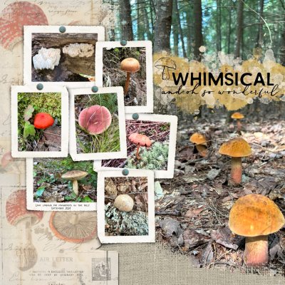 Whimsical Mushrooms