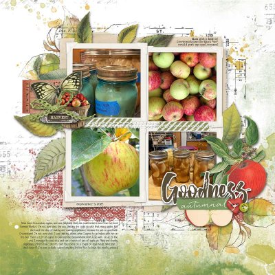 2023-09-10 Gravenstein apple canning