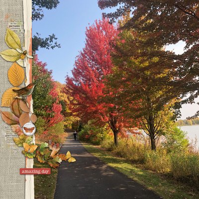 Fall Colors