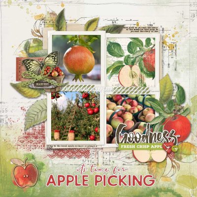 Apple Picking