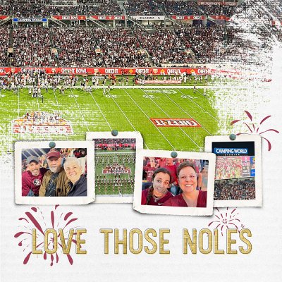 Love Those Noles (r)