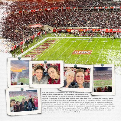 Love Those Noles (l)