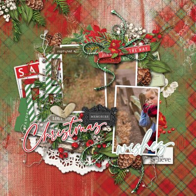 Christmas Wishes