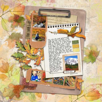 2016-09-30 Mount Rainier fall foliage