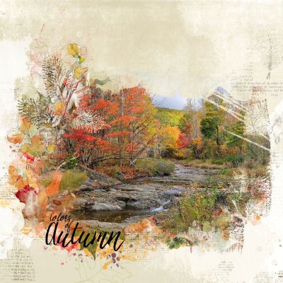 Colors of autumn
