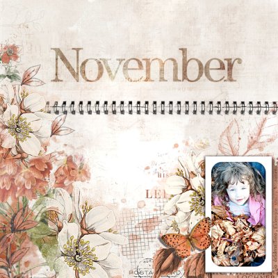 NOVEMBER 2022