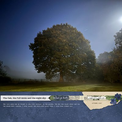 The Oak, the full moon and the night sky