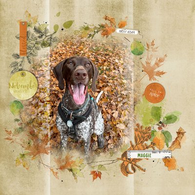 Maggie