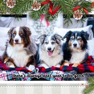 Christmas Card 2024