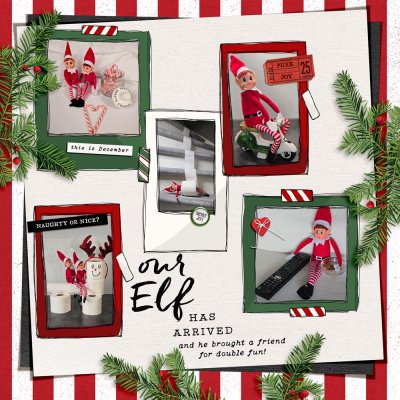 Our Elf has arrived