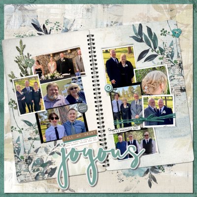 Wedding snippets