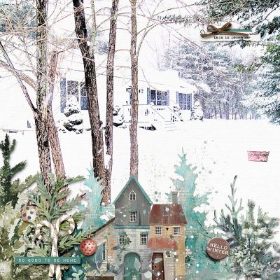 Home for the Holidays