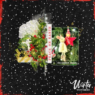 WINTER WONDERS