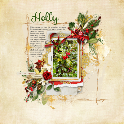 Signs of The Season-Holly_web.png