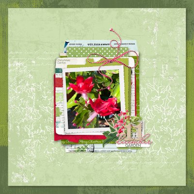 December Days 2024 - Day 11